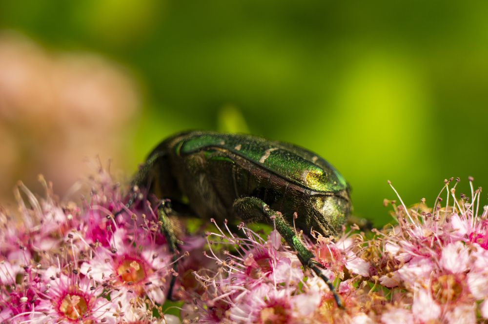 Photograph by Павел Минкевич