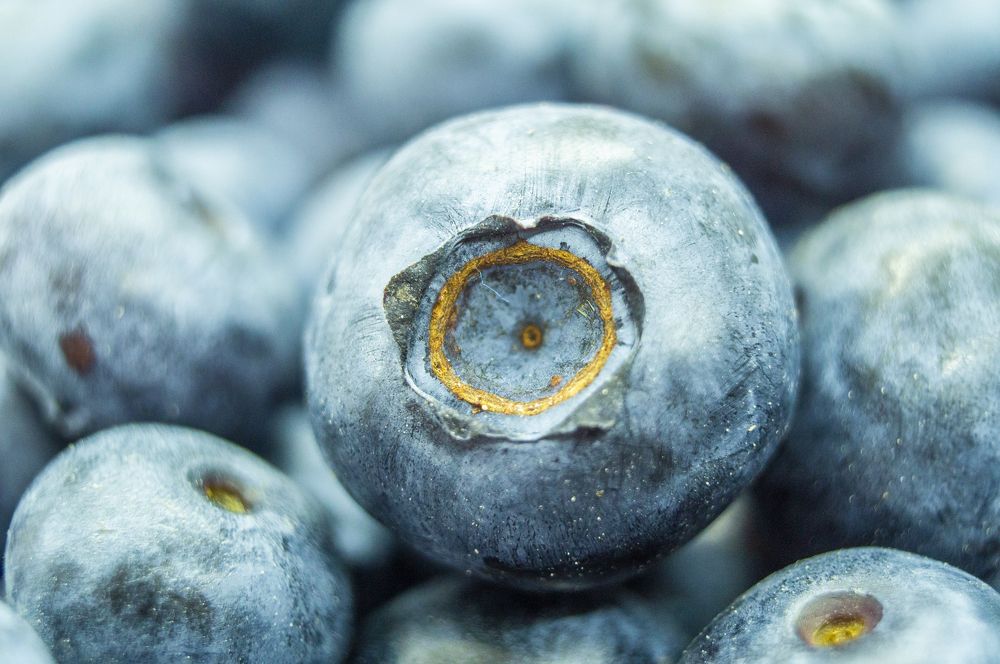 Photograph by Павел Минкевич