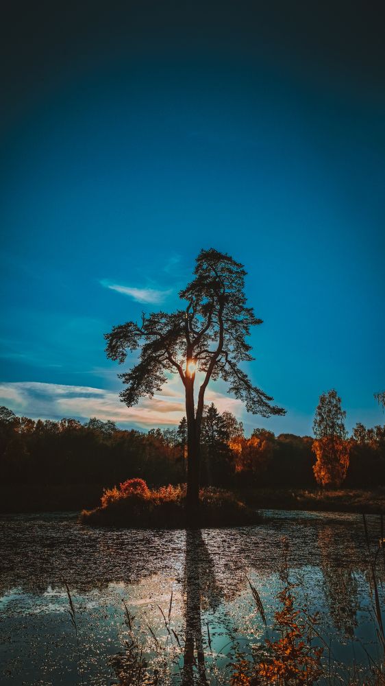 Photograph by Александр Гамалеев