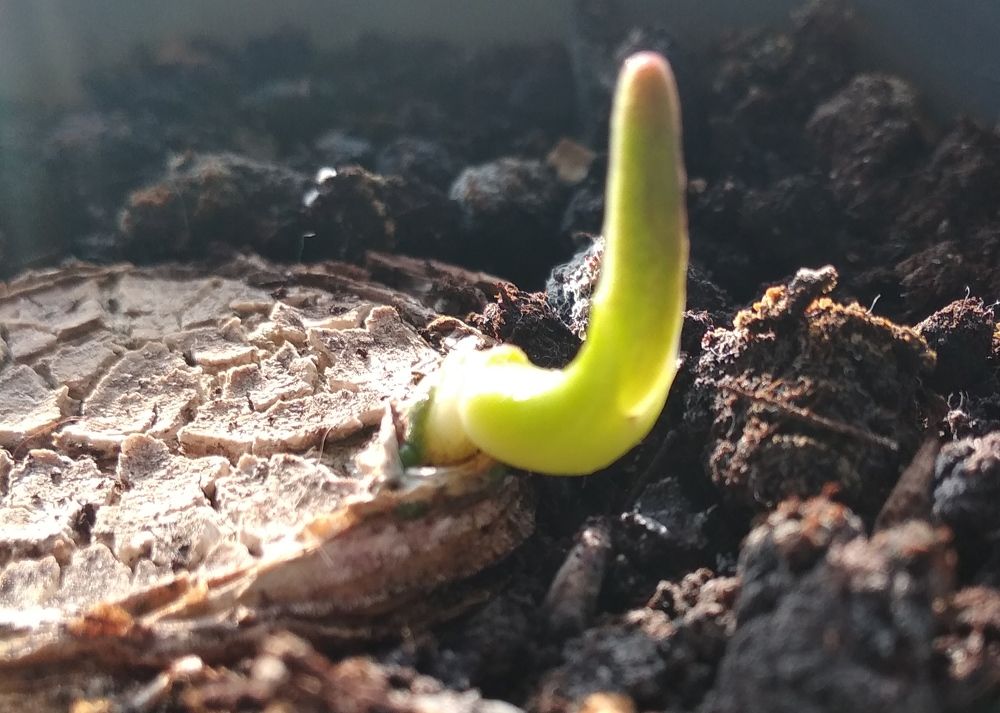 Фотография автора Наталья Кулешова