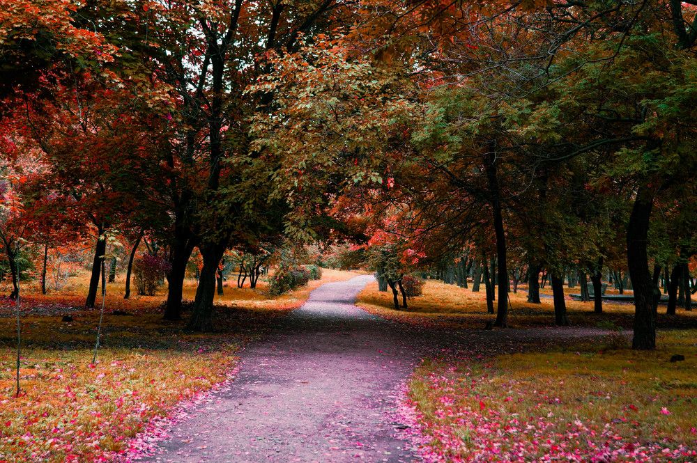 Photograph by Vlad Proshin