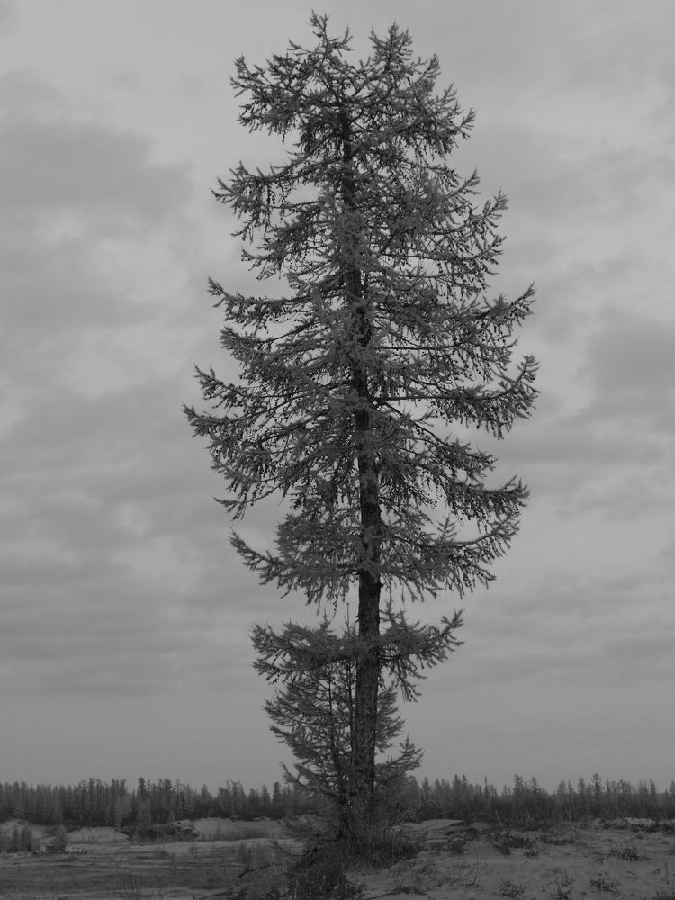 Фотография #6552372