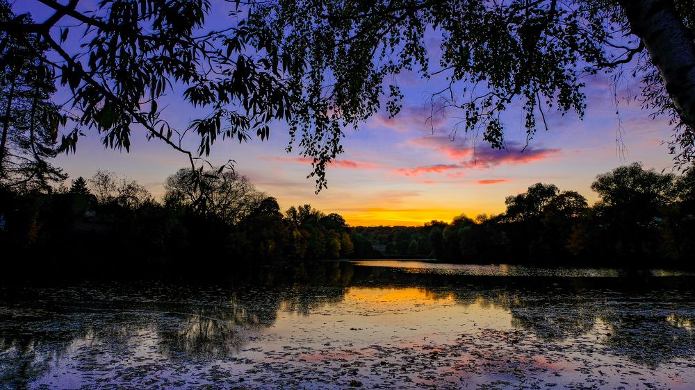 Photograph by Александр Елизаров