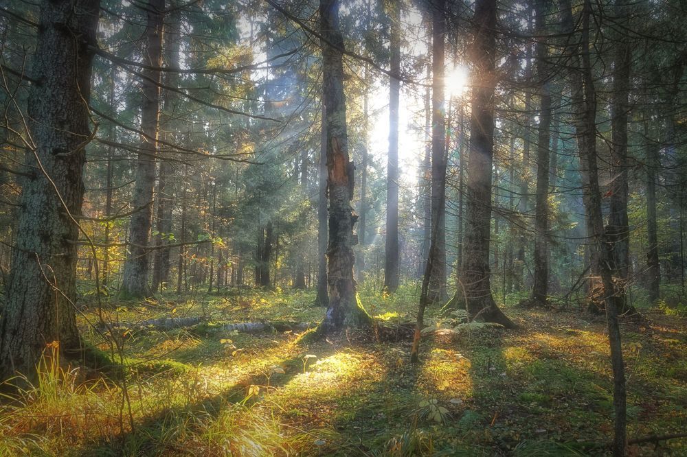 Photograph by Анатолий Калмыков