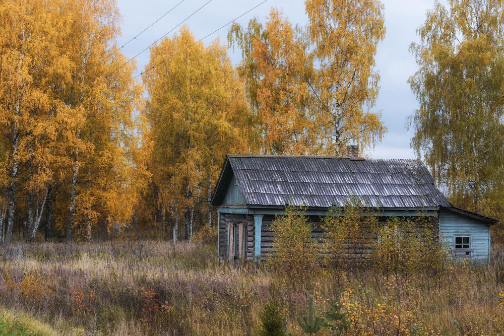 Photograph by Дмитрий Седов