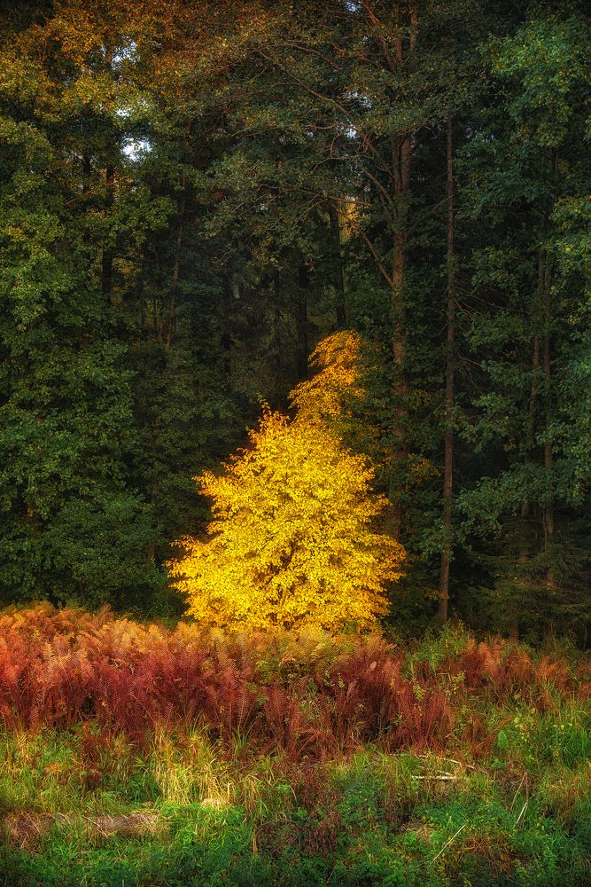 Photograph by Дмитрий Седов