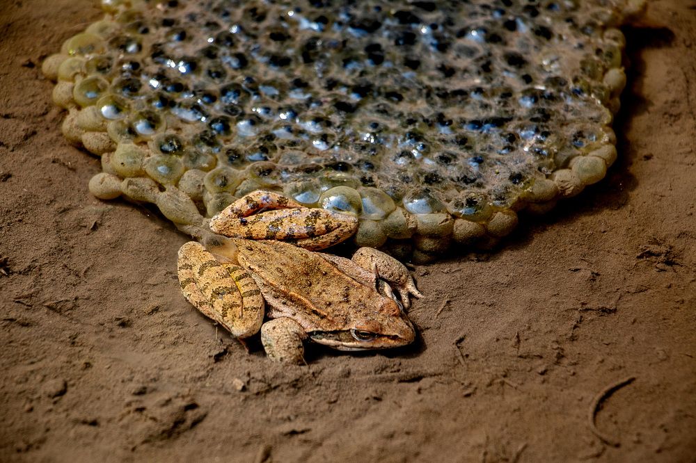 Photograph by Виталий