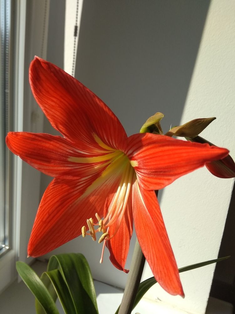 Фотография автора Наталья Кулешова