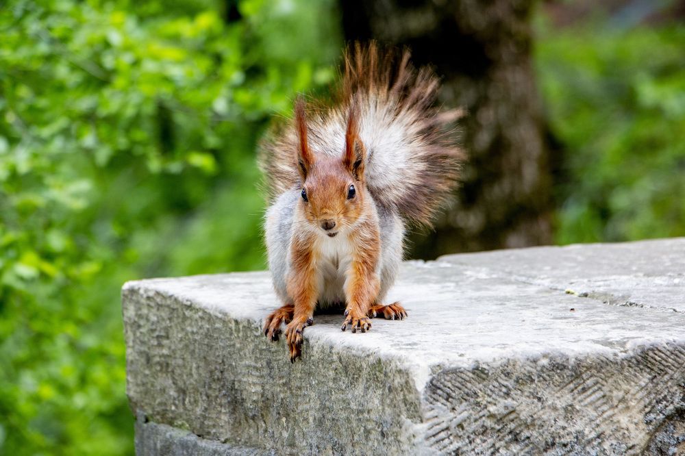 Photograph by Виталий