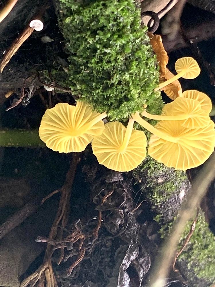 Photograph by Maria Aparecida Nogueira