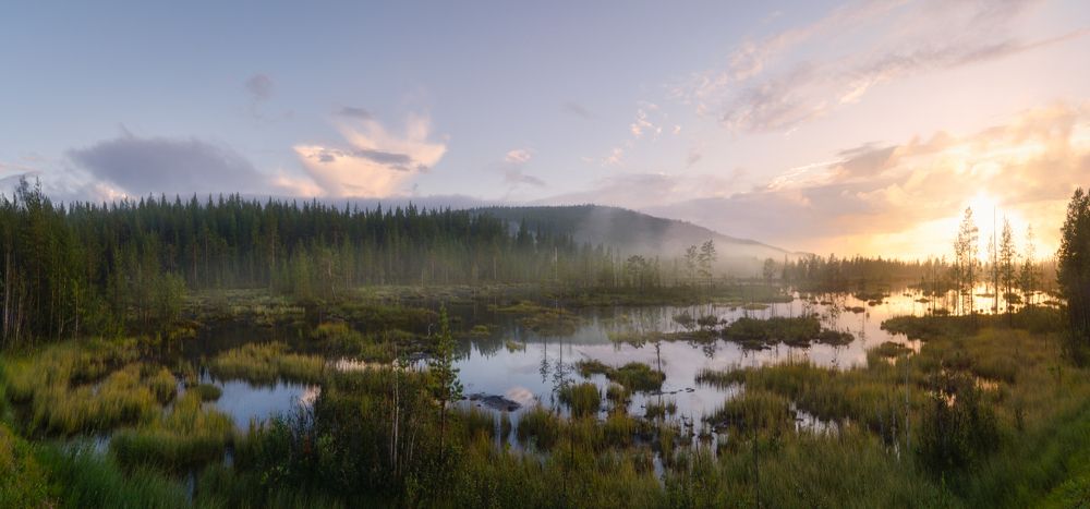 Photograph by Сергей Кочергин