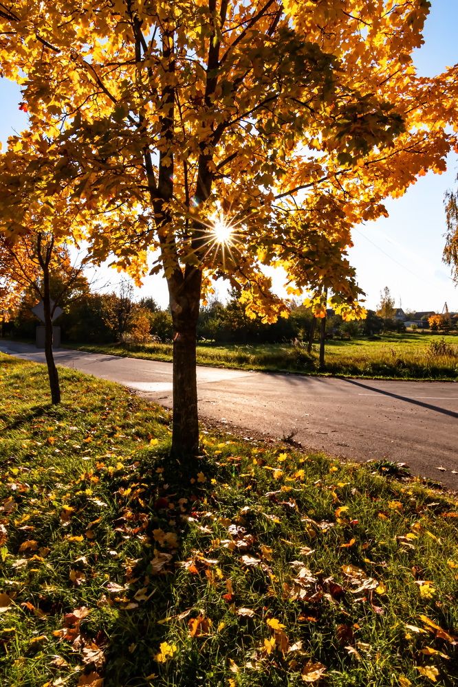 Photograph by Galina