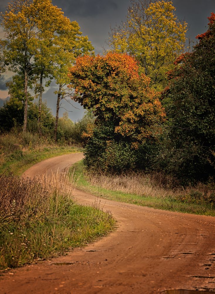 Photograph by Galina