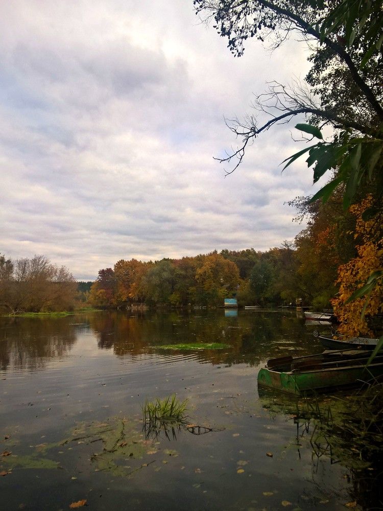 Photograph by Тамара Нижельская