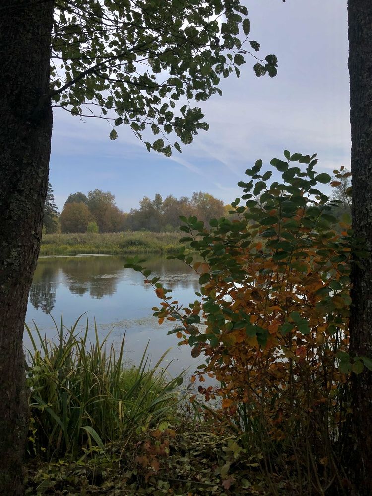 Photograph by Анастасия Козлова