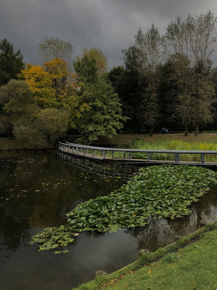 Photograph by Анастасия Козлова