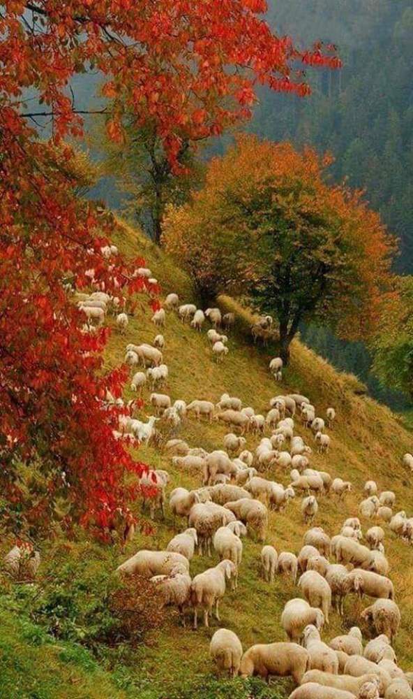 Осень в горах Тушети