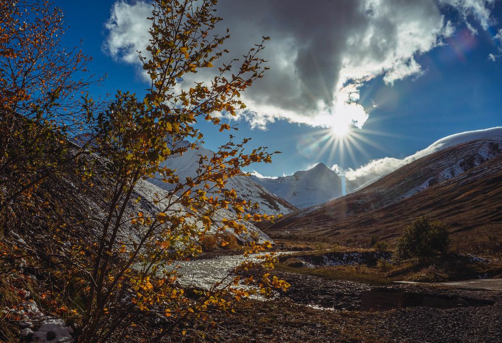 Photograph by Ирина Умиленко