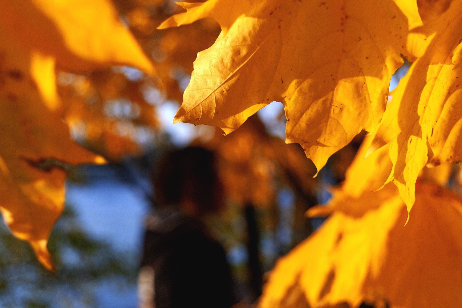 Photo #6552829