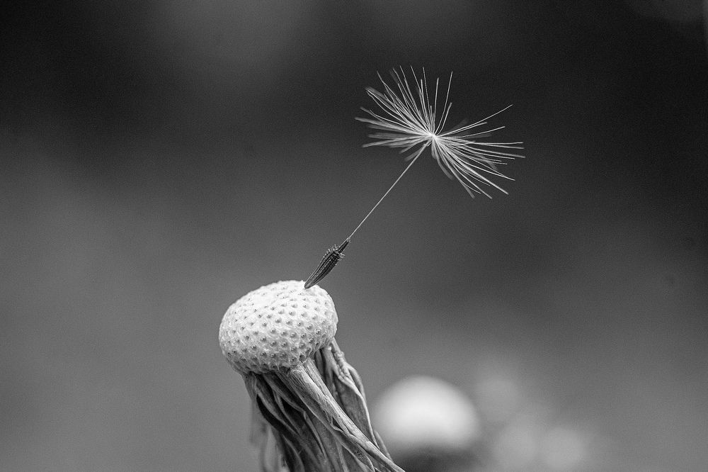 Photograph by Подгурский Фёдор