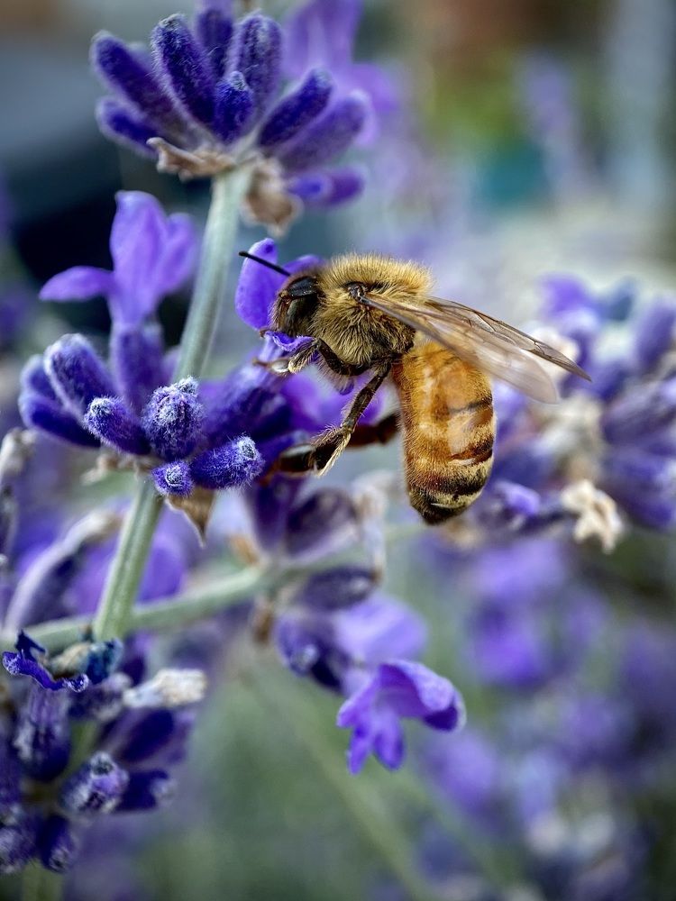 Photograph by Yuliya Trints