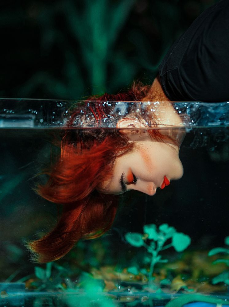 Photograph by Ahmadreza Azizi