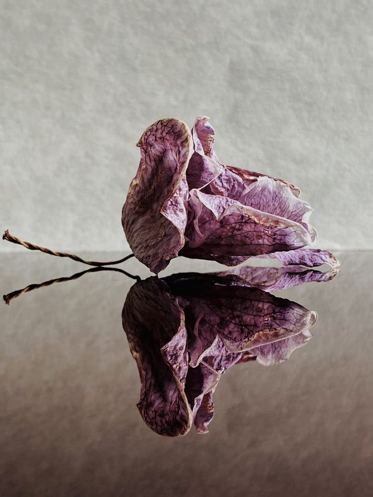 Photograph by Yuliya Trints