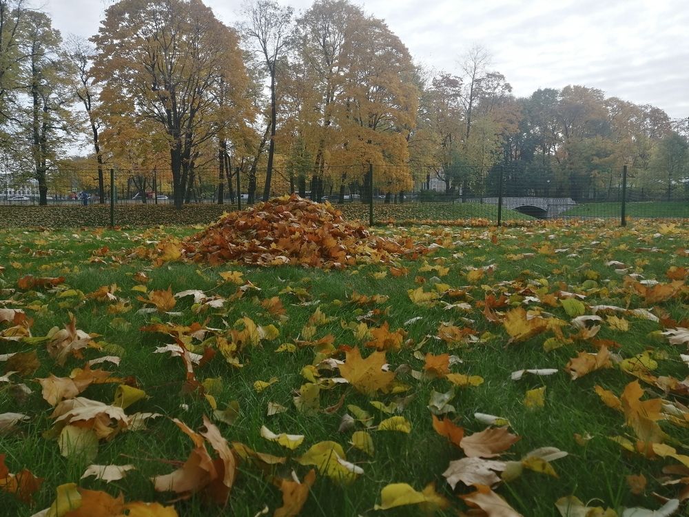 Photograph by Михаил Черкашин