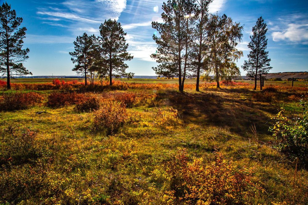 Photograph by Галина Мозолевская