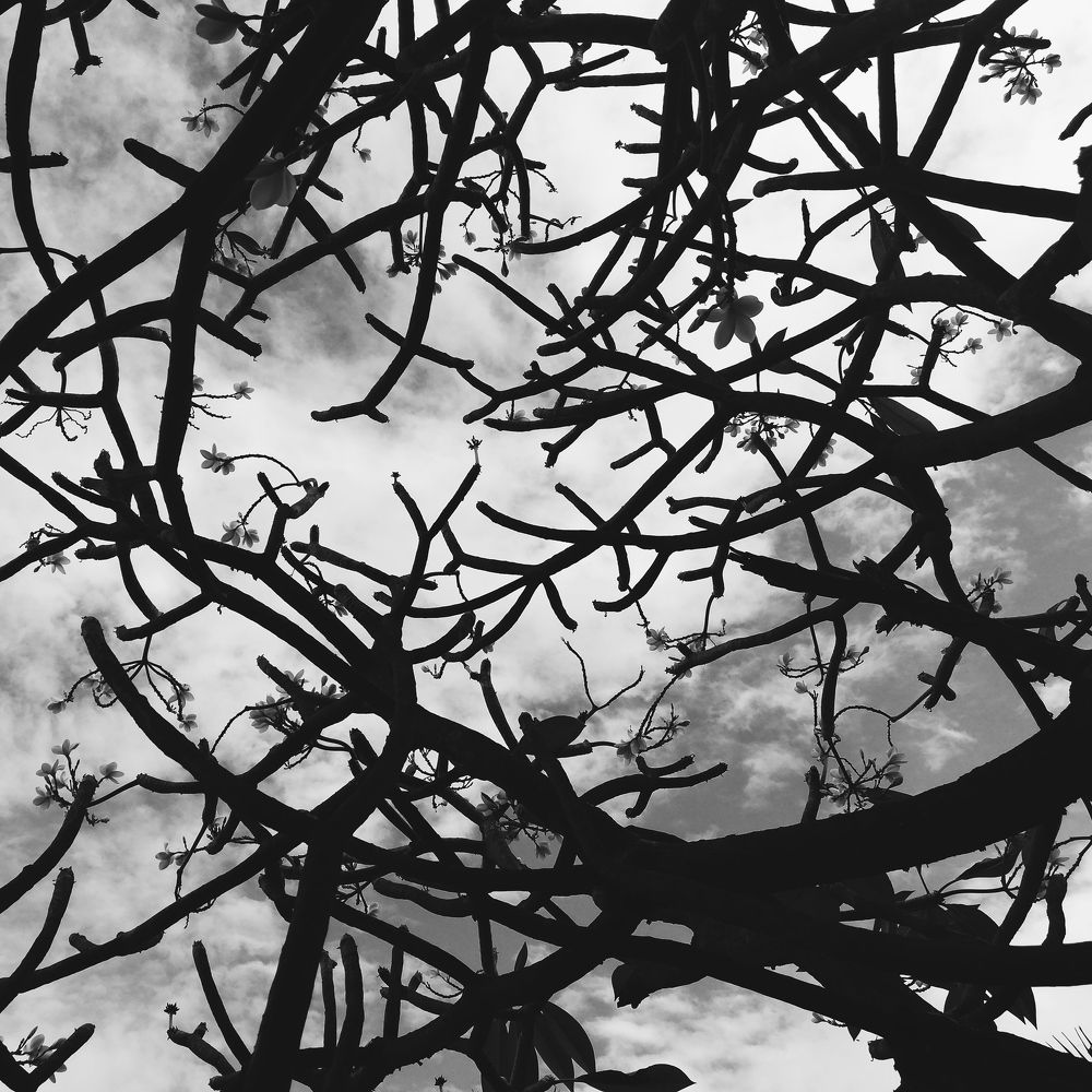 Photograph by MingHui Yu