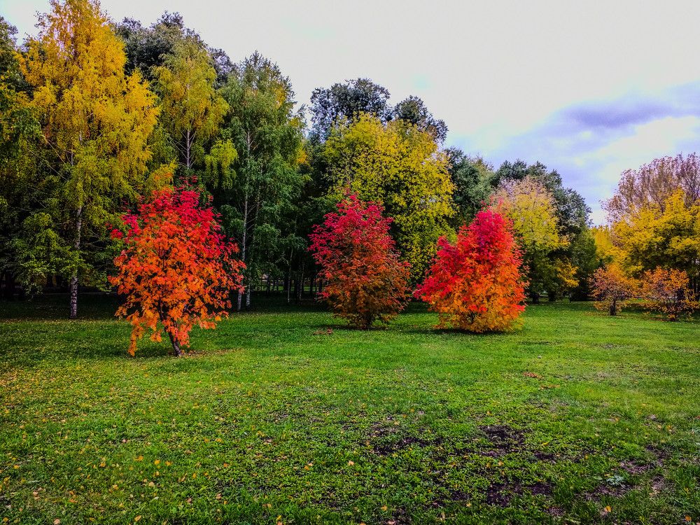Photograph by Денис Геранькин