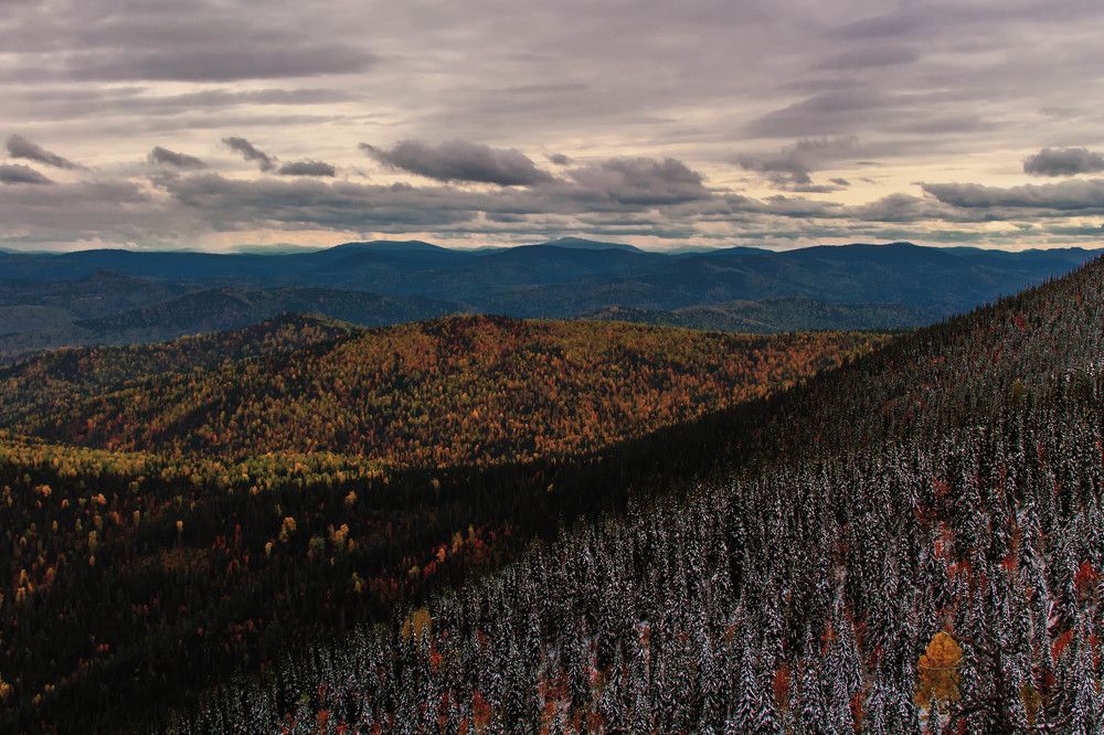 Photograph by Игорь Голубев