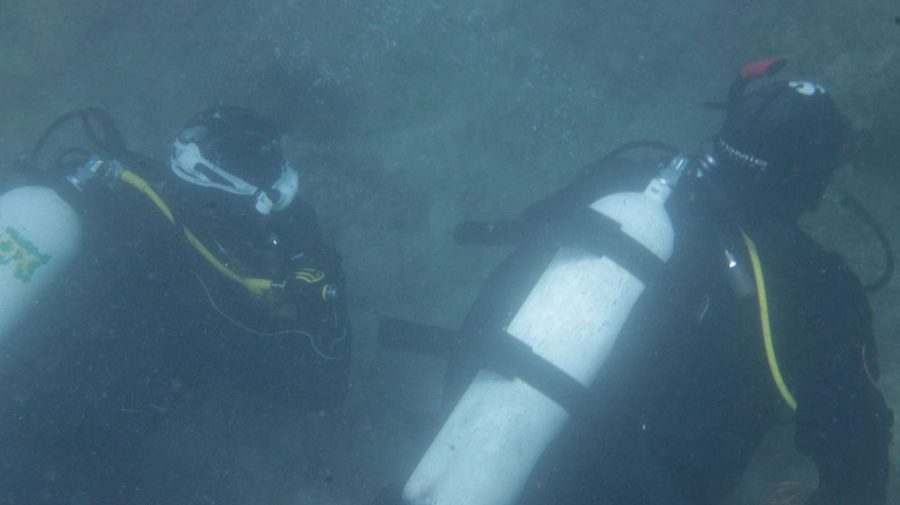 Photograph by Владимир Ясюкевич