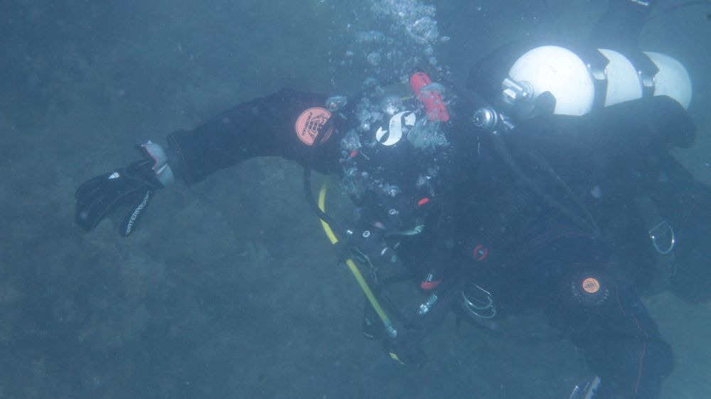 Photograph by Владимир Ясюкевич