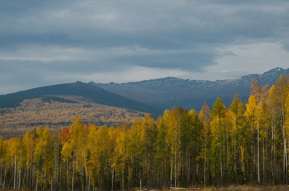Photograph by Людмила Зяблова