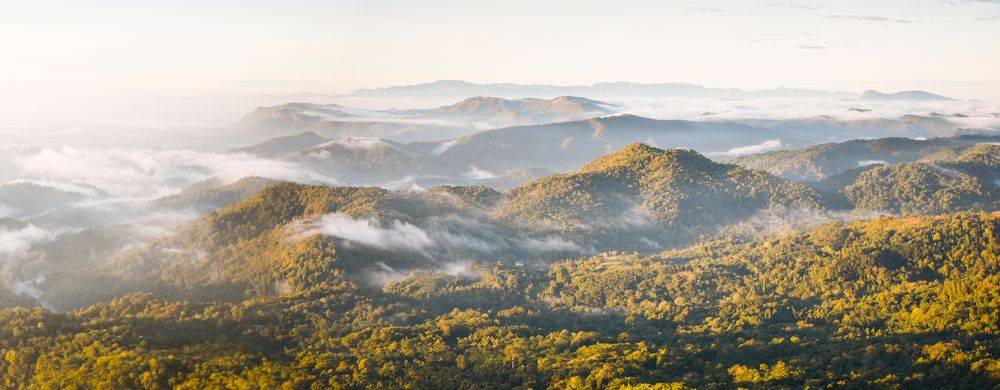 Photograph by Sachin Amarasinghe