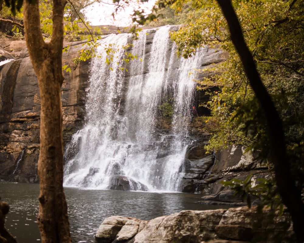 Photograph by Sachin Amarasinghe