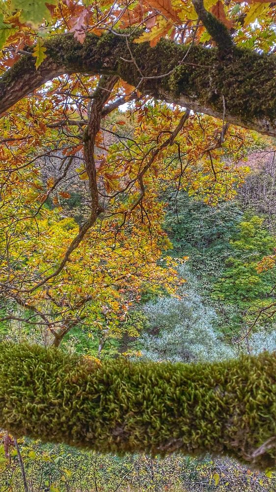 Photograph by Ольга Глушкова