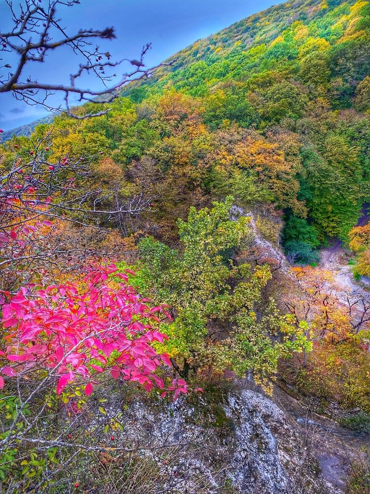 Photograph by Ольга Глушкова