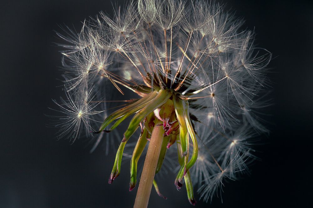 Photograph by Виктор Холодов