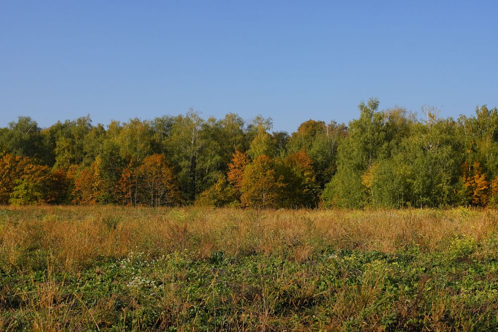 Photograph by Закоморный Андрей