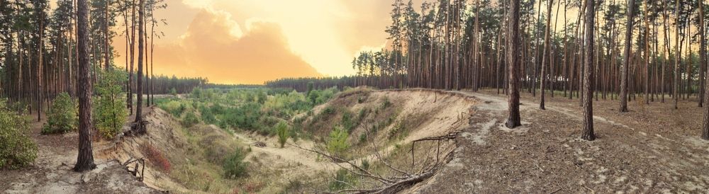 Photograph by Димитрий Крюков