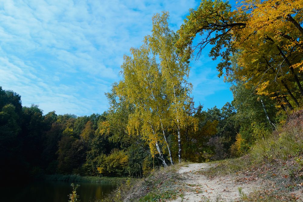 Photograph by Закоморный Андрей