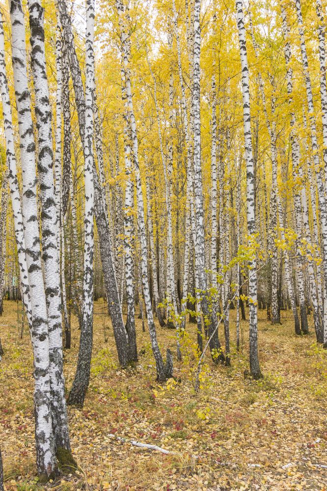 Photograph by Anna Gapanovich