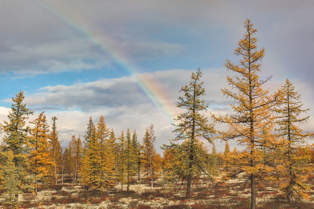 Фотография автора Ендовицкий Владимир
