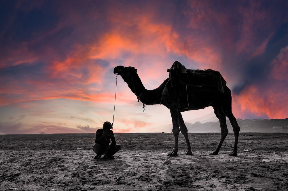 Photograph by Shreya Garg