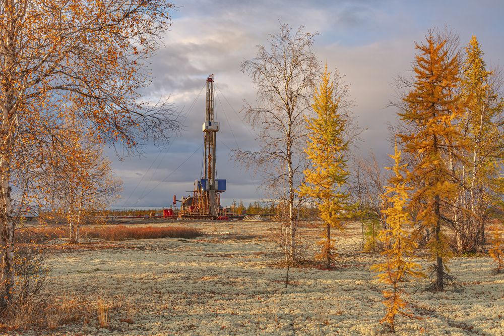 Фотография автора Ендовицкий Владимир