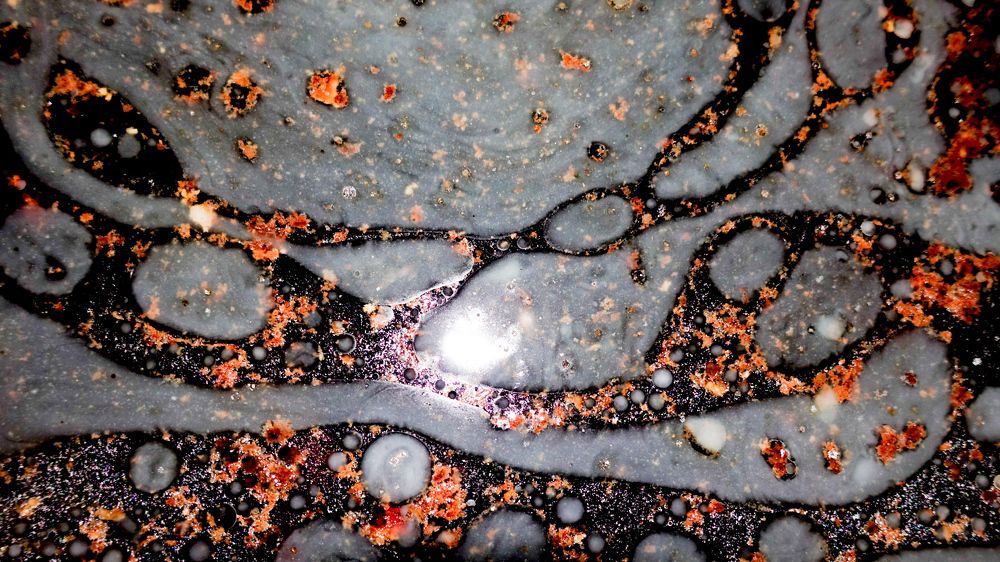 Фотография автора Александр Комаров