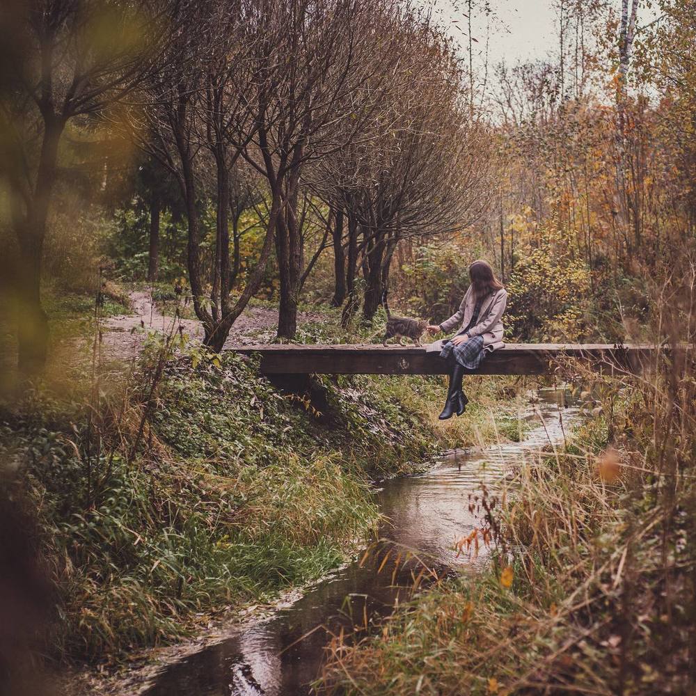 Осенняя прогулка