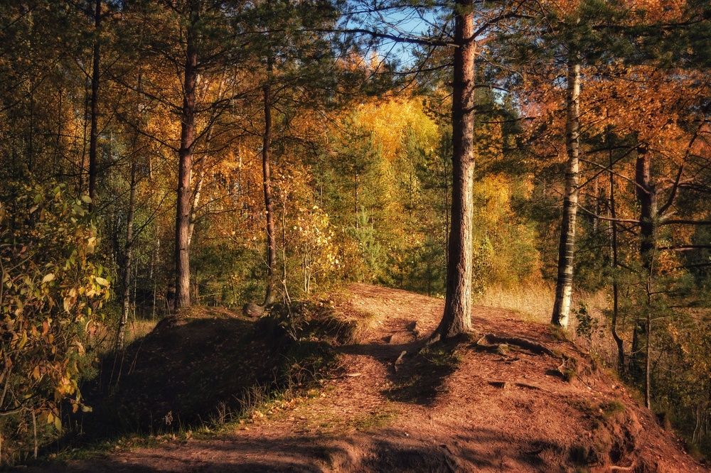 Photograph by Дайана